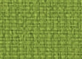 078.010  Organic green