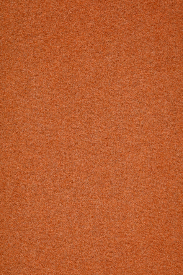 LDS83