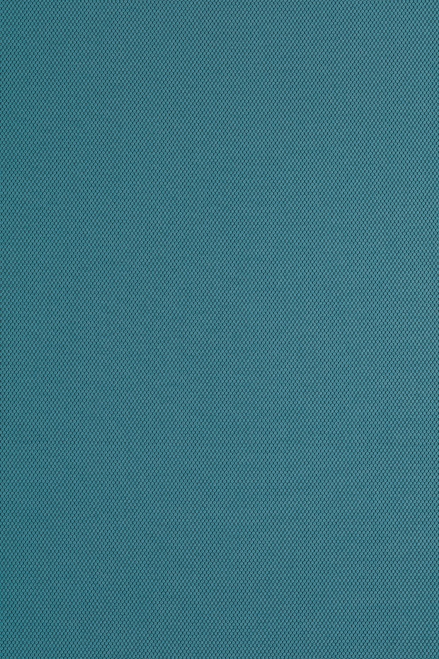 BL2334