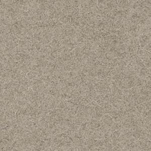 GS4 - Cappuccino