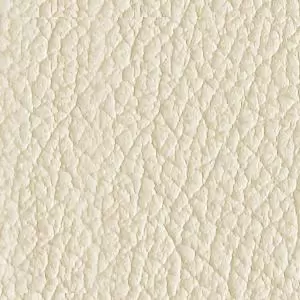 D86 - Ivory