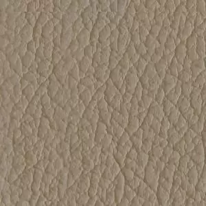  D97 - Cappuccino