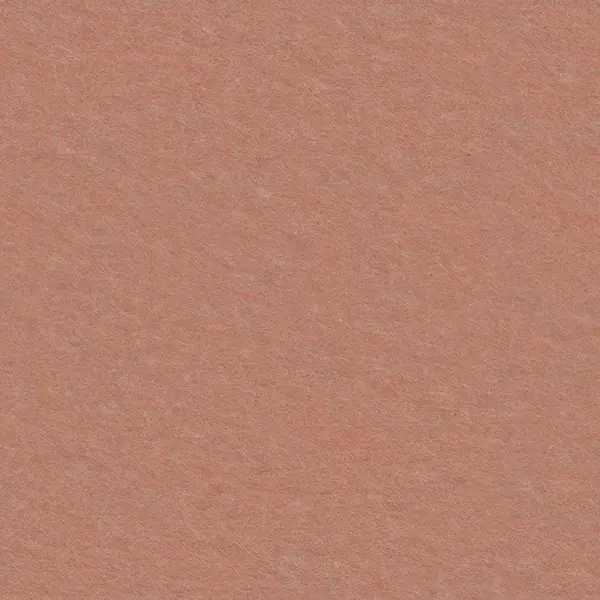 BA10 (B56) Roz coral