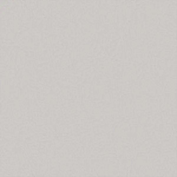 DV13 (DT5) Светло-серый