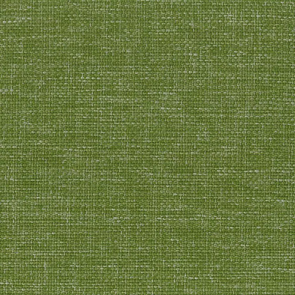 AI8 - Verde