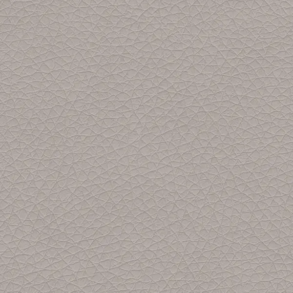 DZ09 (D21) Gri deschis