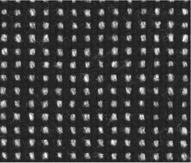C26