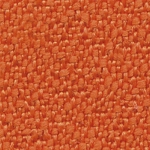 BN19