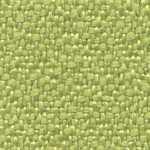BN17
