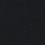YP009