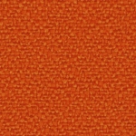YP113