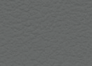 Asphalt grey