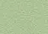 077.011  Vivid green