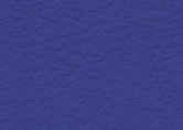 006.020  Classic blue