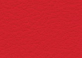 006.040  Chilli red