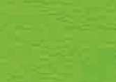 006.010  Organic green