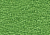 081.010  Organic green