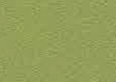 081.011  Vivid green