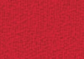 081.041  Züco red