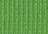 100.010 Organic green