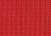 100.041 Züco red